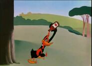 Daffy appearing at the beginning of the cartoon