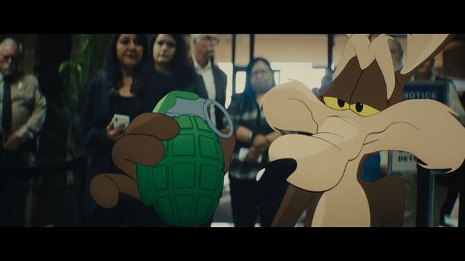 Coyote vs. Acme