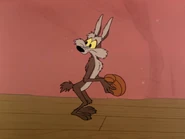 Harris coyote2.jpg (152 KB) Wile also has cartoon-style "conjoined eyes."