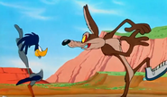 Wile e without tail