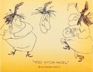 Model sheet of Witch Hazel