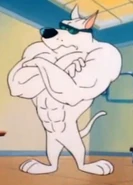 Arnold the Pit Bull (Tiny Toon Adventures)