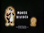 "A Mouse Divided"