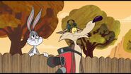 Wile E. Coyote Wabbit