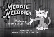 The female cat, from "Sittin' on a Backyard Fence"