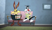 Sylvester with Wile E. Coyote