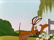 IMG 2663.png (2.16 MB)