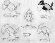 Model sheet of the Minah Bird