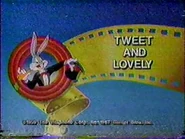 The Bugs Bunny & Tweety Show