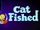 Cat Fished
