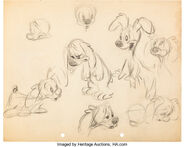 BoneSweetBoneDog.jpeg (70 KB) Model Sheet