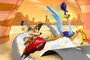 ROAD RUNNER AND COYOTE LOLZ