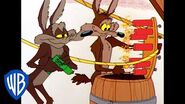 Looney Tunes More Bombs and More Bombs- Wile E Coyote Violent Classic Cartoon WB Kids-1