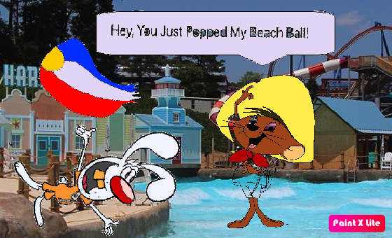 Mr. Whiskers Goes To The Water Park to Pop A Beach Ball Looney