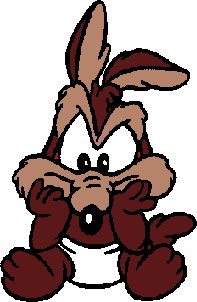 Looney Tunes bébé Roadrunner