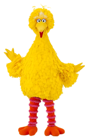 What is the Big Bird 