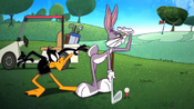 Daffy starts getting frustrated.