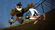 Always chased by the federales