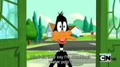 Daffy forgets what he is coaching.