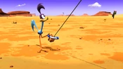 Road Runner flying...