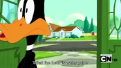 Daffy does not know what water polo is.