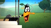 Daffy at the golf course at Casa de Calma