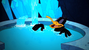 ...Daffy enjoying the Mineral Pool.