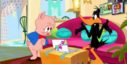 Porky & Daffy