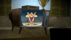 Crusher wrestling on TV.