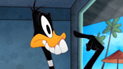 Daffy's temporary beak job