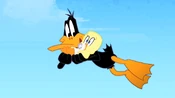 Daffy catches Zachary.