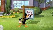 Daffy making a for sale sign on the lawn.