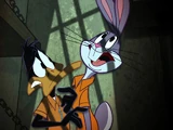 Jailbird and Jailbunny