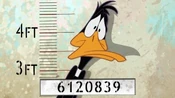 Daffy's first mugshot.