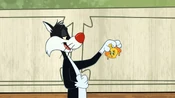 Sylvester doesn't believe that a Tasmanian Devil is behind him.