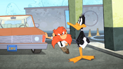 Daffy looking for his instructor.