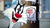 Sylvester becomes excited to get help.