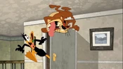 Daffy runs out of the closet, with Taz still growling.