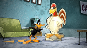 Daffy describing Foghorn.