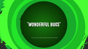 Wonderful Bugs Title Card