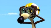 Wile E. putting his goggles on.