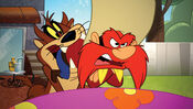 Taz finds Yosemite Sam.