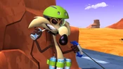 Wile E. commences his plan.