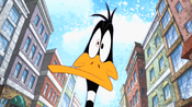 Daffy does not react well to the word "bump."