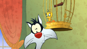 Tweety tells Sylvester his gender.