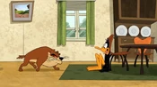 Daffy gets scared, as Taz glares at him.