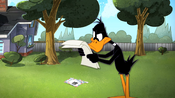 Daffy reading someone else's mail, illegally.