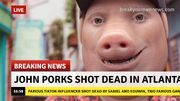 JoHn PoRk In PiG cItY rEaL