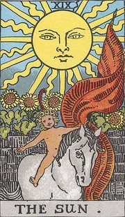 19