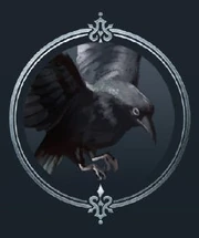 Raven Amon
